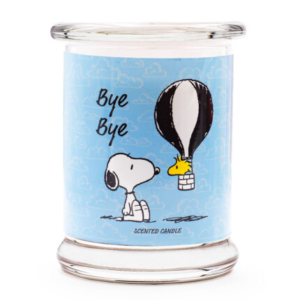 PEANUTS-ByeBye.jpg