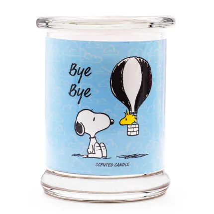 PEANUTS-ByeBye.jpg