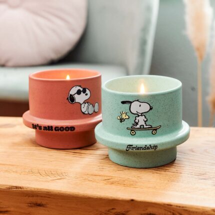 PEANUTS-200G-MUG-MOOD-jpg.jpg