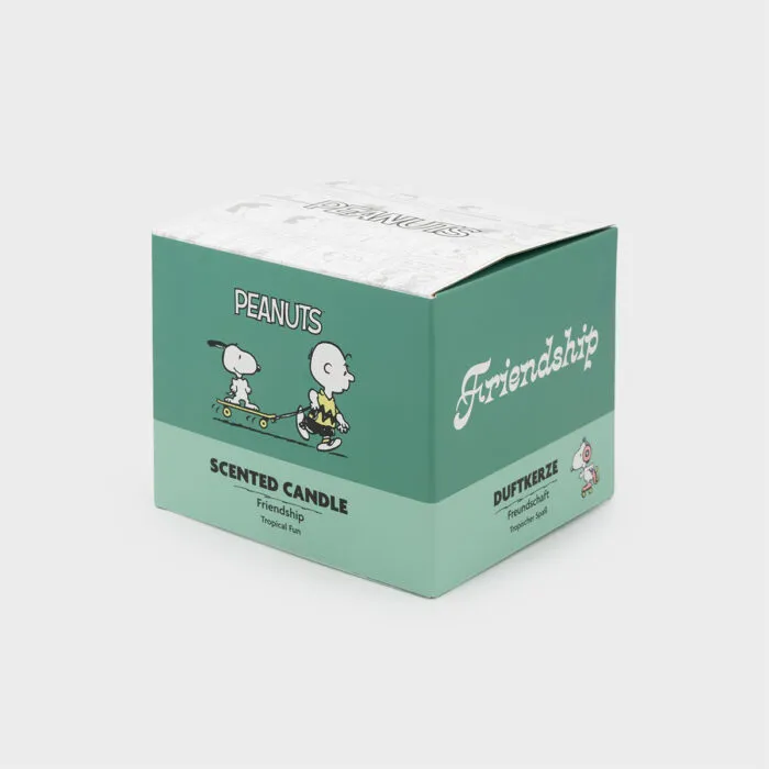A2516-PEANUTS-200G-Friendship-MUG-PACKAGING-FREI-jpg.jpg