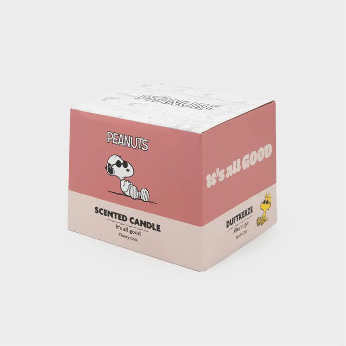 A2517-PEANUTS-200G-ItsAllGood-MUG-PACKAGING-FREI-jpg.jpg