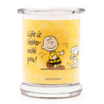 PEANUTS-Life.jpg