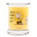 PEANUTS-Life.jpg