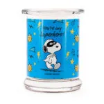 A2098-PEANUTS-250G-YoureMySuperhero-FREI-jpg.jpg