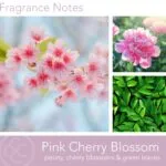 Duftkerze Pink Cherry Blossom - 538g – Hauptansicht