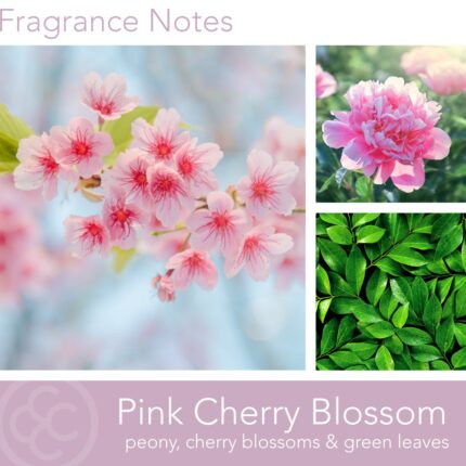 Duftkerze Pink Cherry Blossom - 538g – Hauptansicht
