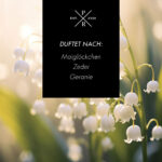 sweet-angel-PR-623g-duftnoten.jpg
