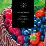 A2109-PR-623G-SweetWildBerries-DUFTNOTEN-jpg.jpg
