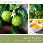 Duftkerze Tropic Island Green - 411g – Produktansicht