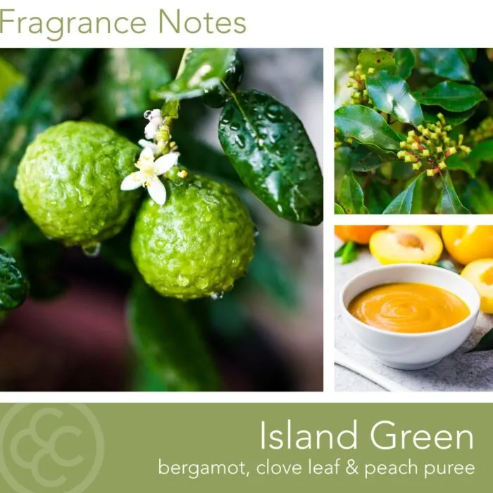 Duftkerze Tropic Island Green - 411g – Produktansicht