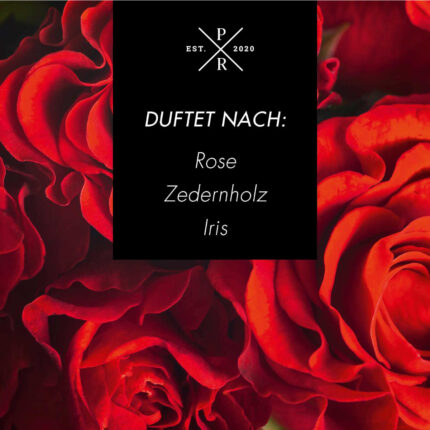Velvet-Rose-FN.jpg