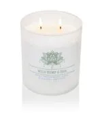 Duftkerze Wild Hemp & Oak - 453g – Produktansicht