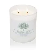 Duftkerze Wild Hemp & Oak - 453g – Hauptansicht