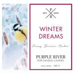 Winter-Dreams-jpg.jpg