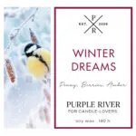 Winter-Dreams-jpg.jpg