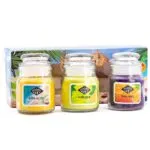 Candle-Brothers-Set-Beach-Bar-open.jpg
