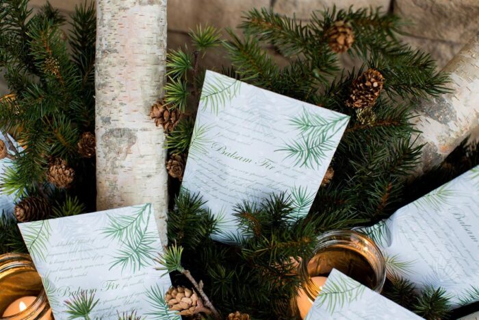 WB_Holiday-Envelope-Sachets_Balsam-Fir-Birch-Limbs_10.jpg