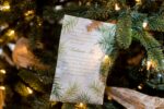 WB_Holiday-Envelope-Sachets_Balsam-Fir-Christmas-Tree_11-2.jpg