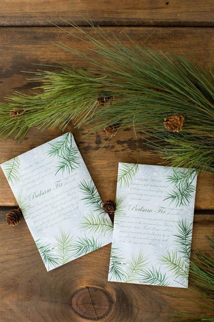 WB_Holiday-Envelope-Sachets_Balsam-Fir-Pine-Branches_3.jpg