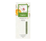 6er_white_orchid-APXK.jpg