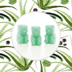 Duftwachs-Ted-AcaiPalm-Aloe.jpg