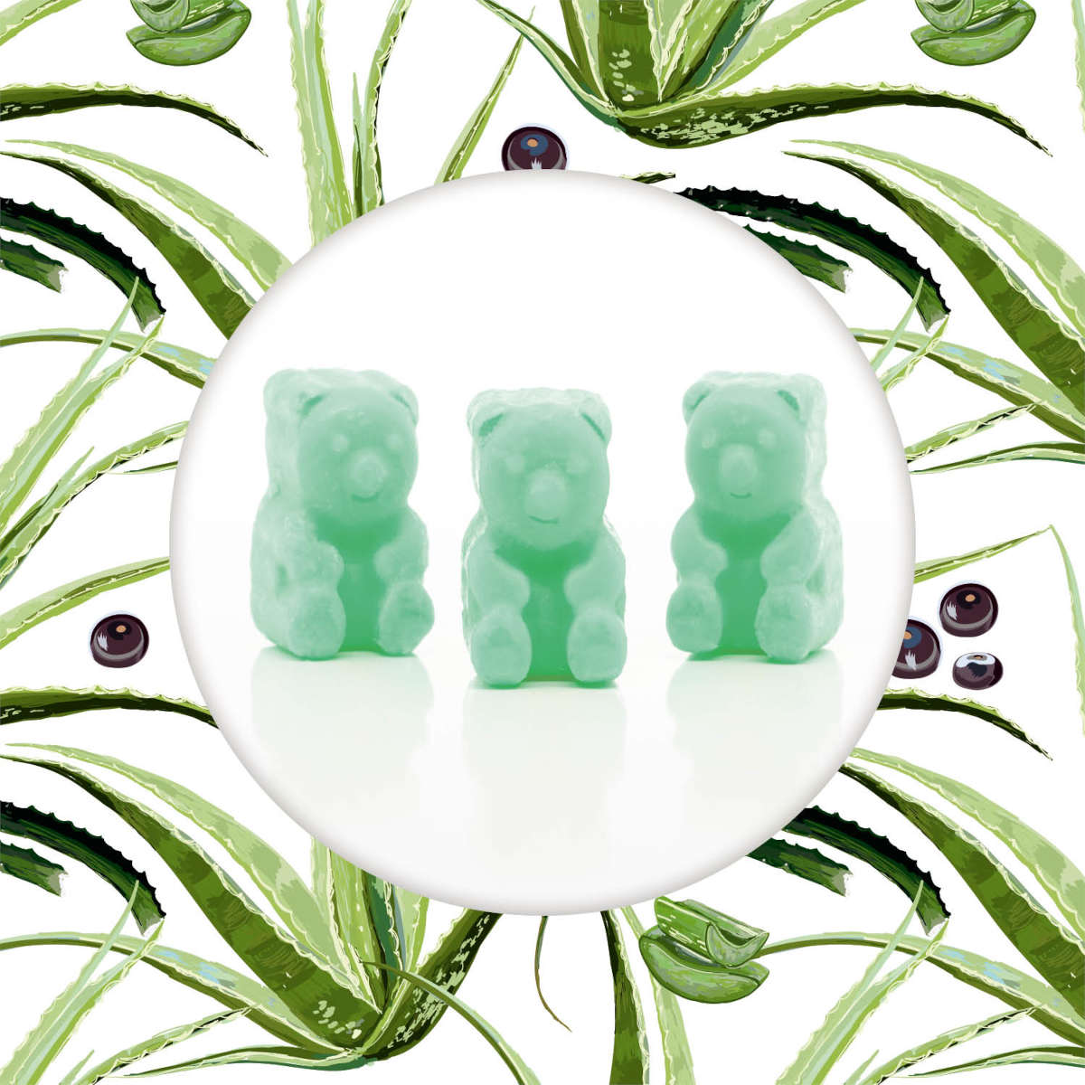 Duftwachs-Ted-AcaiPalm-Aloe.jpg