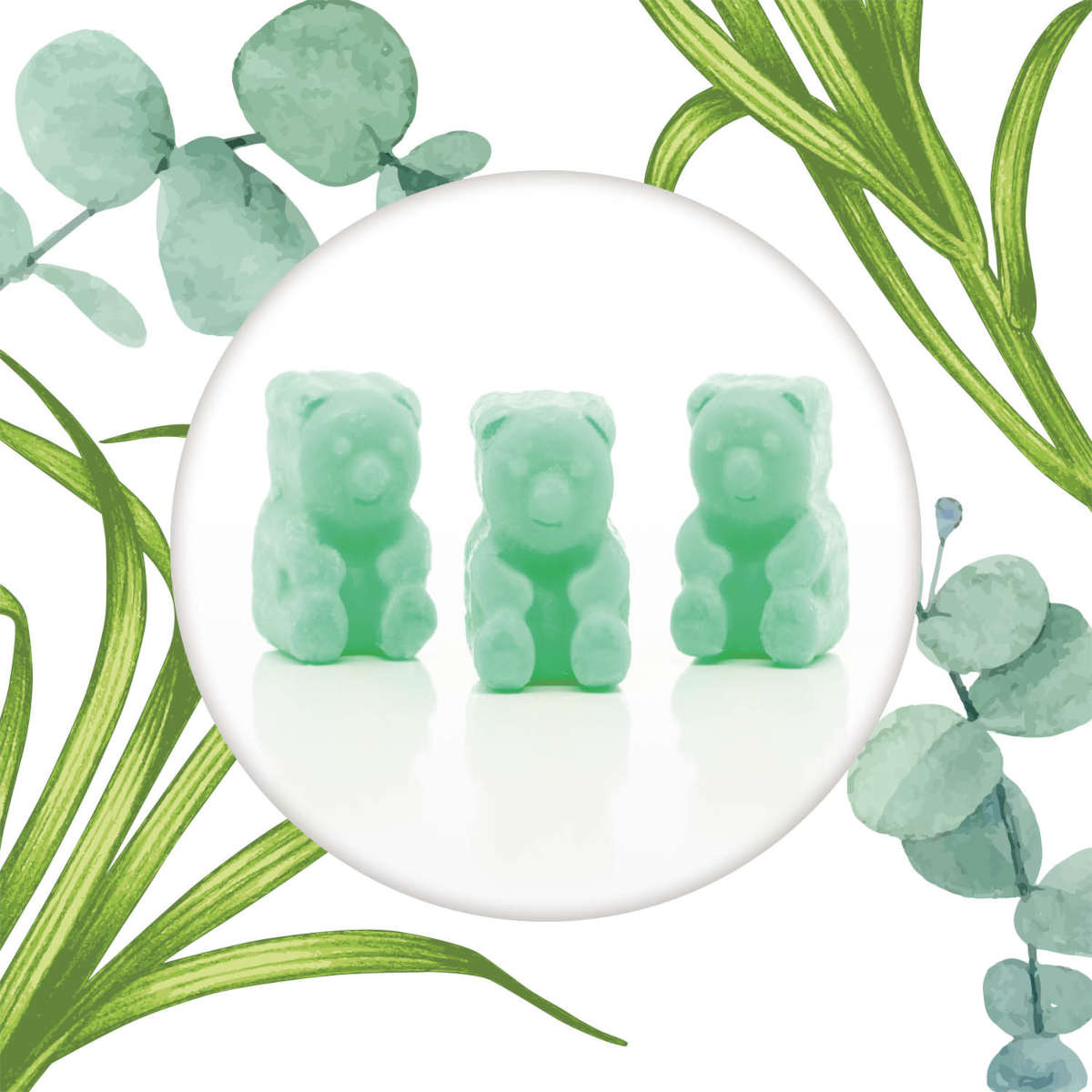 Duftwachs-Ted-Eucalyptus-Lemongrass-jpg.jpg