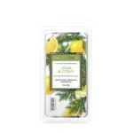 Duftwachs Cedar & Citrus - 77g – Hauptansicht