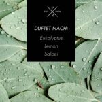 A1453-PR-623G-EucalyptusLemongrass-DUFTNOTEN-jpg-i3nu.jpg