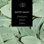A1453-PR-623G-EucalyptusLemongrass-DUFTNOTEN-jpg-i3nu.jpg