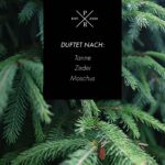 fir-balsam-PR-623g-duftnoten-jpg.jpg