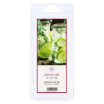 A2211_PR-DUFTWACHS-GINGERLIME-jpg.jpg