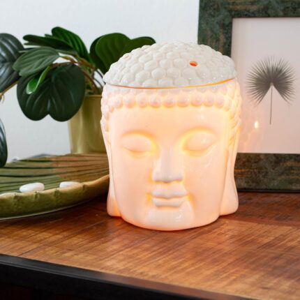 Buddha-Elektrisch-Mood-DNGF.jpg