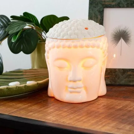 Buddha-Elektrisch-Mood-DNGF.jpg