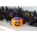 SS-Warmer-Halloween_Mood_3-jpg.jpg