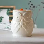 Eule-Mood-7Ht7.jpg