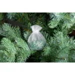 SS_SF_Holiday_Green_4-jpg-8WWr.jpg
