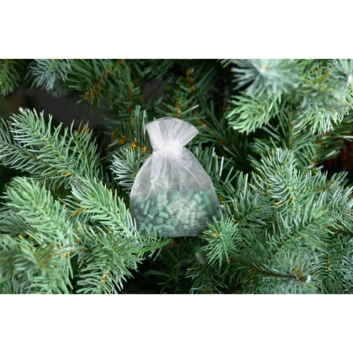 SS_SF_Holiday_Green_4-jpg-8WWr.jpg