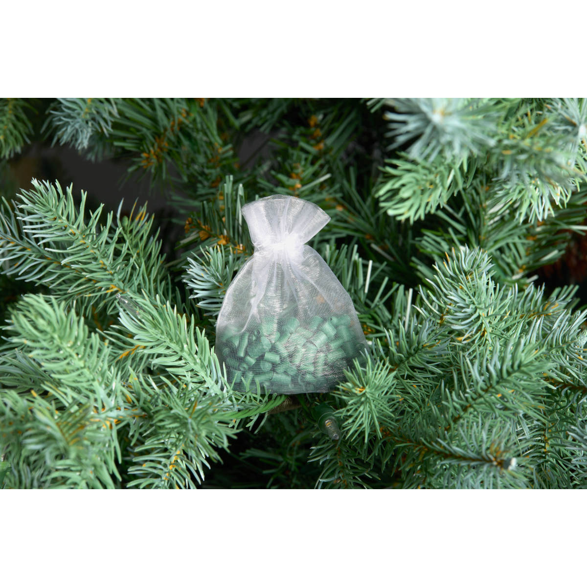 SS_SF_Holiday_Green_4-jpg-8WWr.jpg