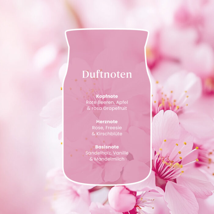 Duftnotenkarte mit Kopf-, Herz- und Basisnoten von Enchanting Cherry Blossom