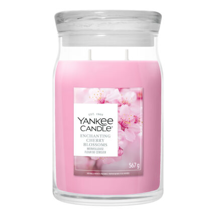 Rosa Yankee Candle Enchanting Cherry Blossoms Duftkerze im Glas mit zwei Dochten