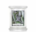 Eucalyptus Mint 411g – Produktansicht