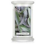 Eucalyptus Mint 623g – Produktansicht
