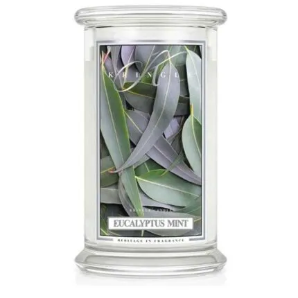 Eucalyptus Mint 623g – Produktansicht