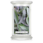 Eucalyptus Mint 623g – Hauptansicht