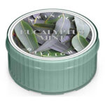 Eucalyptus Mint Daylight 42g – Hauptansicht