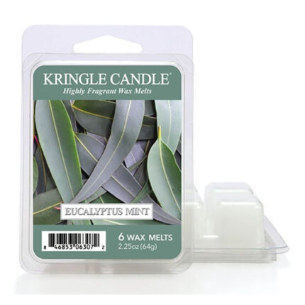 Eucalyptus Mint Wax Melts 64g – Hauptansicht