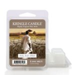 Far Far Away Wax Melts 64g – Produktansicht
