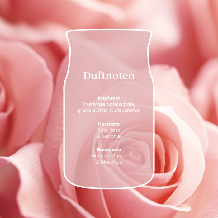 Fresh Cut Roses Signature Large Jar 567g 2-Docht – Produktansicht