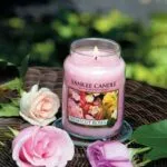 Brennende Yankee Candle Fresh Cut Roses Kerze im Glas zwischen Rosen